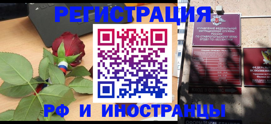 найти адрес прописки в Мончегорске